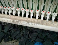工程案例